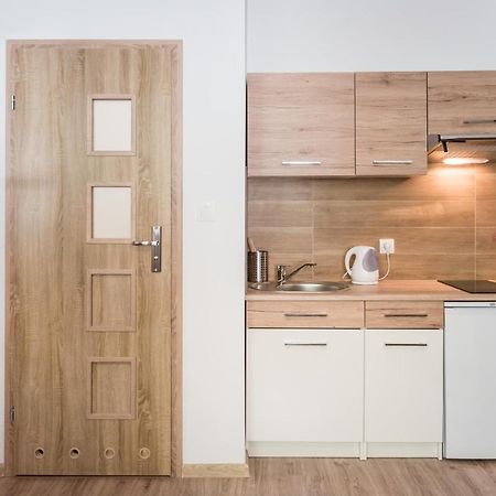 Zelazna Apartment Wawelofts Cracovia Esterno foto