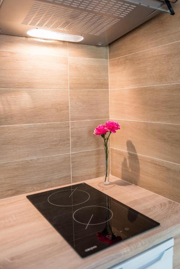 Zelazna Apartment Wawelofts Cracovia Esterno foto